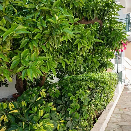 Villa Sofia Sea View Poros Town Exterior foto